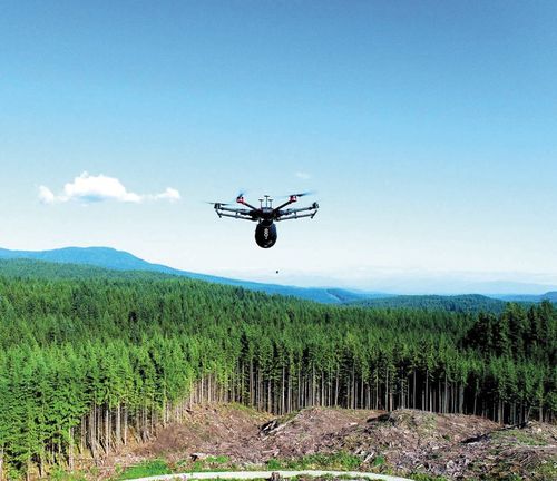 К патрулированию лесов Тувы подключат беспилотники