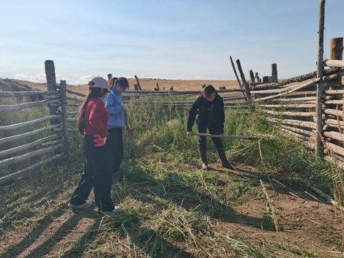 Школьники Эрзинского района помогли овцеводческому хозяйству «Уургай»