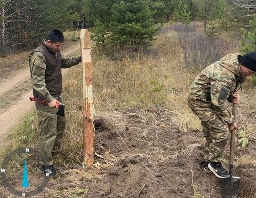 В Туве в рамках нацпроекта «Экологическое благополучие» обработали 350 гектаров под лесовосстановление