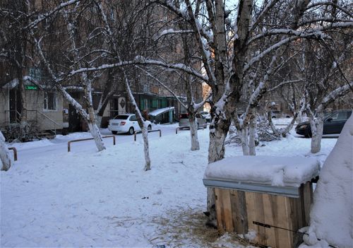 В Кызыле под окнами многоквартирников появились незаконные будки для собак