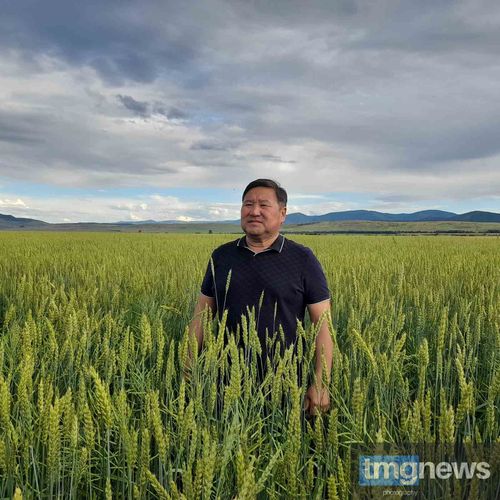 Владислав Ховалыг: «Нам есть куда расти»