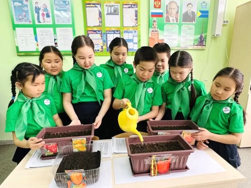 Школьники Улуг-Хемского района провели экологические мероприятия