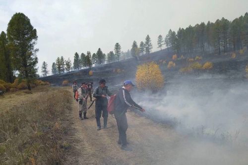 В Туве устранены все лесные пожары