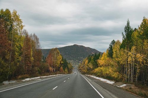 Берегите лес-источник жизни