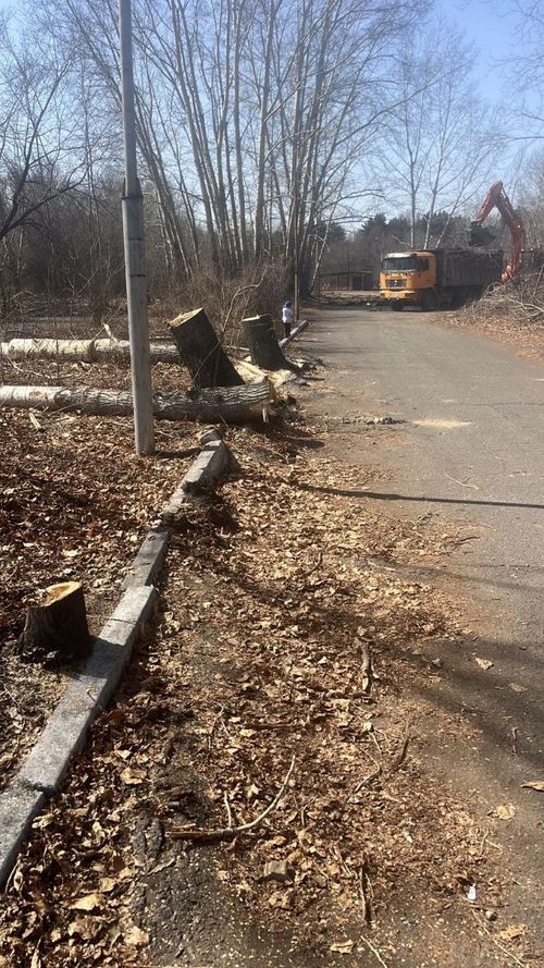 «Тувинская колыбель»: новое дыхание для восточной части парка