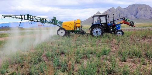 Улуг-Хемде чыдыг чашпан узуткаар ажылдар