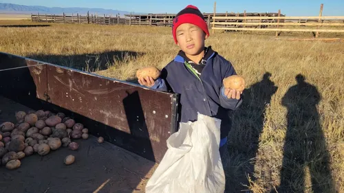 Семья Ланаа - продолжатели древней традиции коневодства