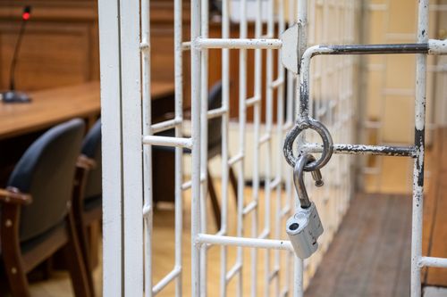 Женщину, продававшую мясо с сибирской язвой, осудили на год ограничения свободы