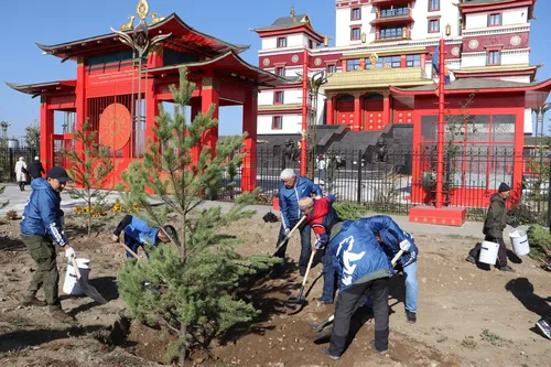 Депутаты и активисты Тувы посадили деревья на территории монастыря «Тубтен Шедруб Линг»