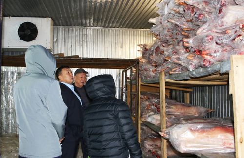 Министр сельского хозяйства Тувы проинспектировал объекты Кызылского района