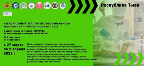В Туве стартовал чемпионат «Профессионалы»