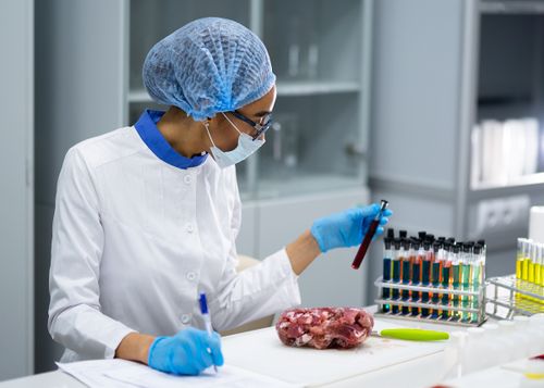 В Туве проводится эпидемиологическое обследование очагов бруцеллёза сельскохозяйственных животных