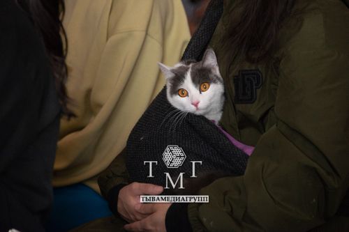 В Туве прошла церемония благословения животных в крупнейшем храме России