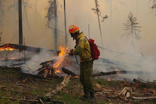 В Туве, на сегодняшний день, действуют два лесных пожара