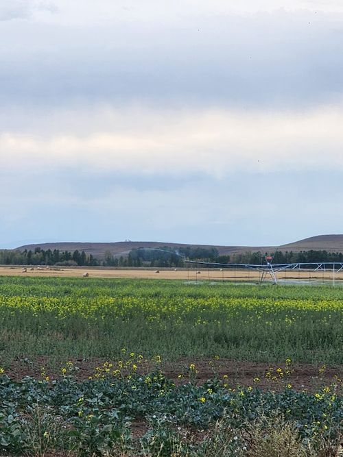 В Туве запущена первая дождевальная машина