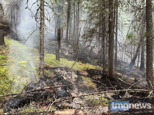 В Туве действуют три лесных пожара с общей площадью 95 га