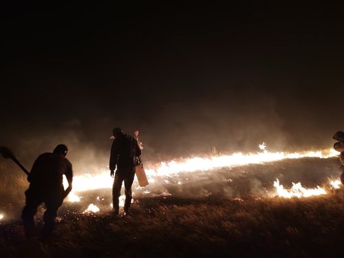 Глава Тувы сообщил об усилении группировки по тушению пожара в Танды