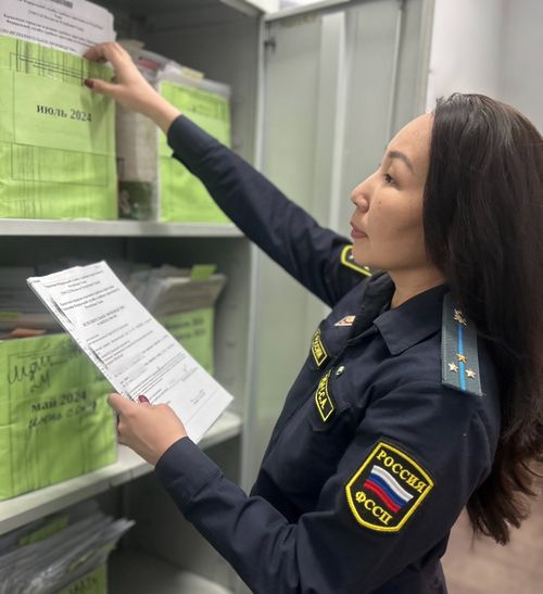 Житель Кызыла осужден за нападение на судебного пристава