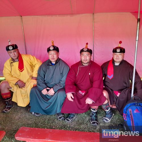 Тываның Наадым-2022 хүрежинге киришкен моол мөгелер дугайында