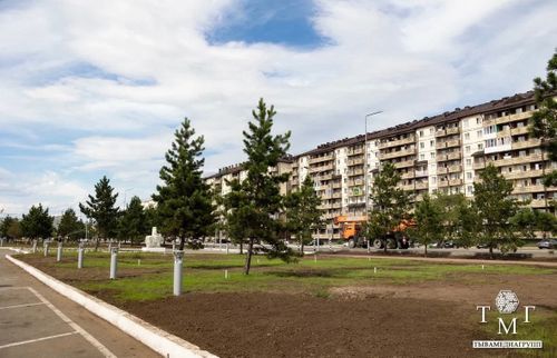 В Кызыле подвели промежуточные итоги масштабного озеленения в рамках подготовки к буддийскому форуму