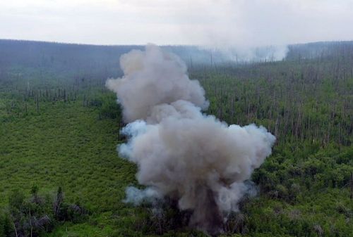 Арга-арыг өрттериниң талазы-биле байдал