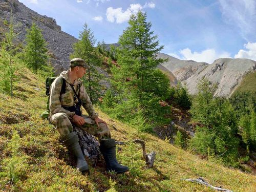 Ученые Тувы изучают биологическое разнообразие хребта «Сангилен»