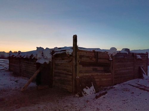 В Бай-Тайгинском районе сотрудники полиции раскрыли кражу скота