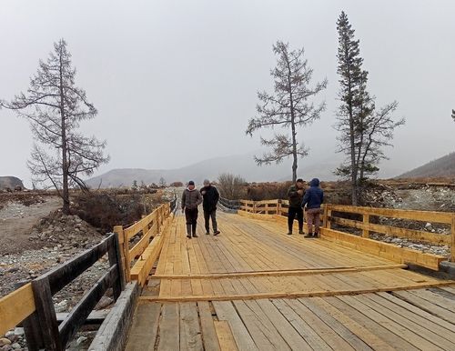 Көвүрүг кежиглерниң тудуун хынап көрген