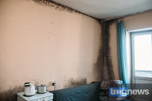 Откуда появляется плесень в многоэтажках микрорайона Спутник?