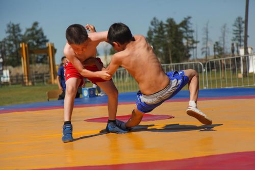 В Кызыле пройдут отборочные соревнования СФО по таким видам спорта, как алыш, хапсагай и курашВ городе Кызыле 21 апреля в спортивном зале «Автомобил