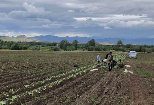 Үерлээшкинниң көдээ ажыл-агыйга чедирген когаралын тодараткан