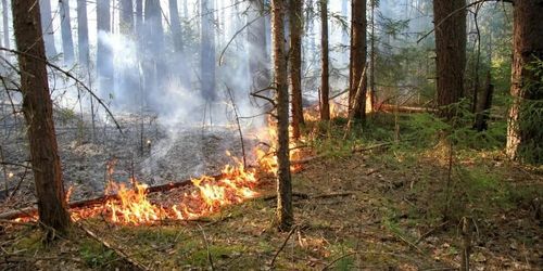 В Туве на три недели продлили особый противопожарный режим