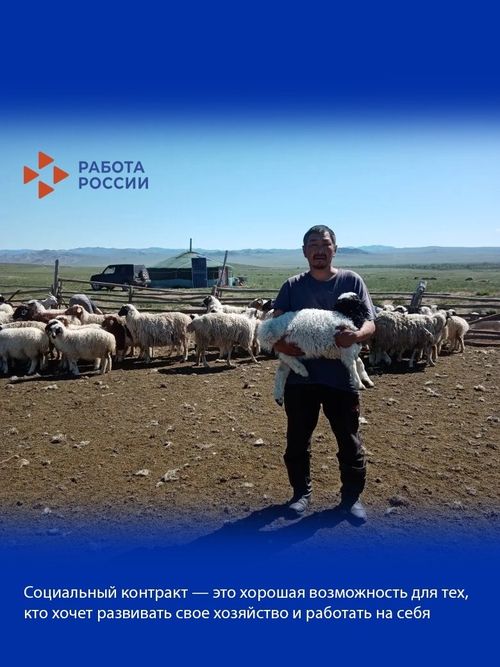 Социальный контракт помог жителю Эрзинского района приобрести 20 голов овец