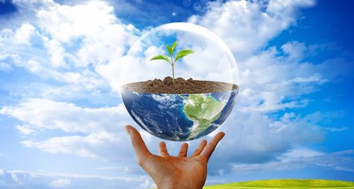 Жителей Тувы приглашают принять участие в фотоконкурсе «Экообъективы»