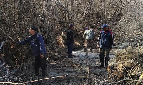 Суггат экиде, дүжүт элбек