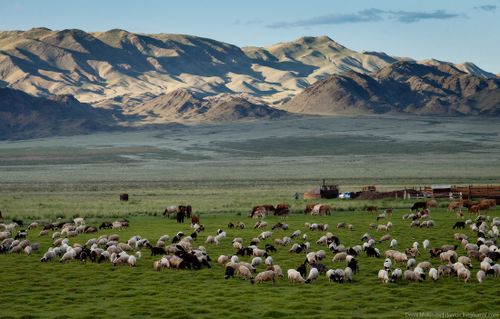 Жителей Тувы приглашают внести свои предложения по развитию регионов и страны