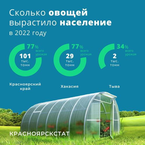 В Туве треть овощей выращивается в хозяйствах населения