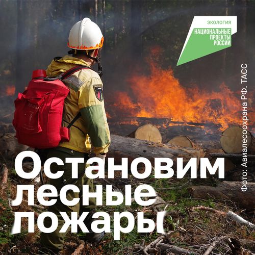 Ежегодно в России горят леса, а причиной пожара нередко становятся халатность и неосторожность человека