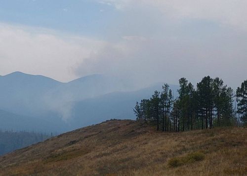 В Туве действует 32 лесных пожара на общей площади 21086,7 га