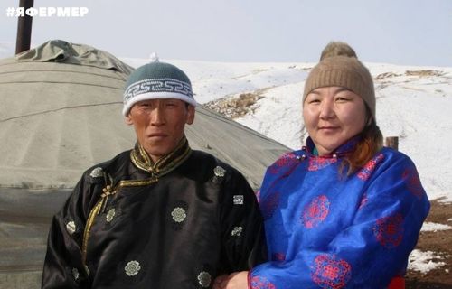 Частным работодателям Тувы возместят расходы на заработную плату работников