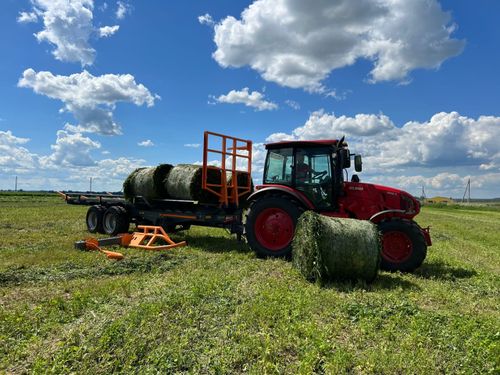 В Туве к кормозаготовке приступили 4 района