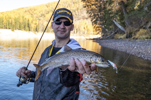В Туве жители потребляют по 7-9 кг рыбы в год