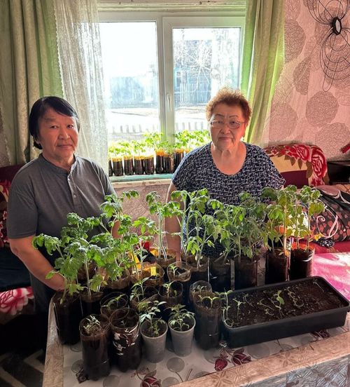 Энелер артыкшылдыг ногаа өзүмнери-биле үлежир