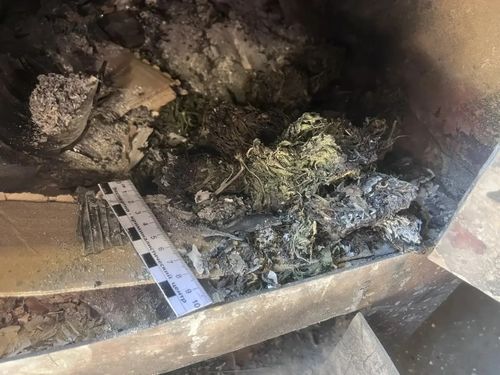 В Кызыле полицейские изъяли наркотики в крупном размере