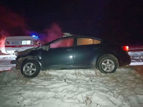 В Туве полиция расследует аварию с участием лошади