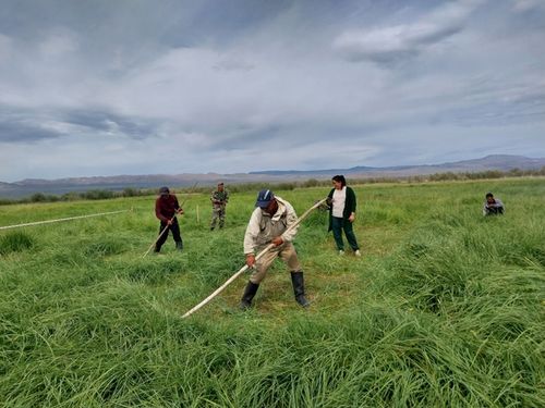 Бригады ручных косарей Тувы приглашают принять участие в конкурсе по лучшей заготовке грубых кормов ручным способом