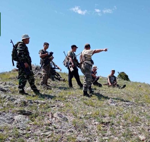 В Туве продолжается работа по регулированию численности волков