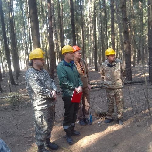 Сотрудники регионального Центра защиты леса повышают свою квалификацию