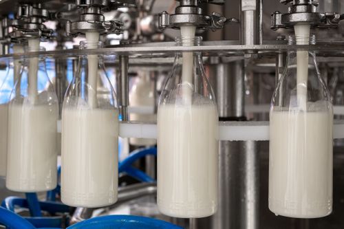 В Туве в строительство крупнейшего молочного комплекса вложат около 140 млн рублей