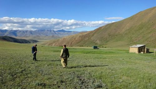 В Монгун-Тайге у грызуна в природном очаге обнаружили чуму